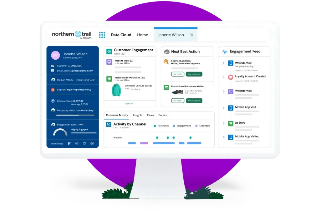 salesforce crm interface