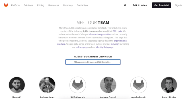 team bios for technical teams example, meet the team page