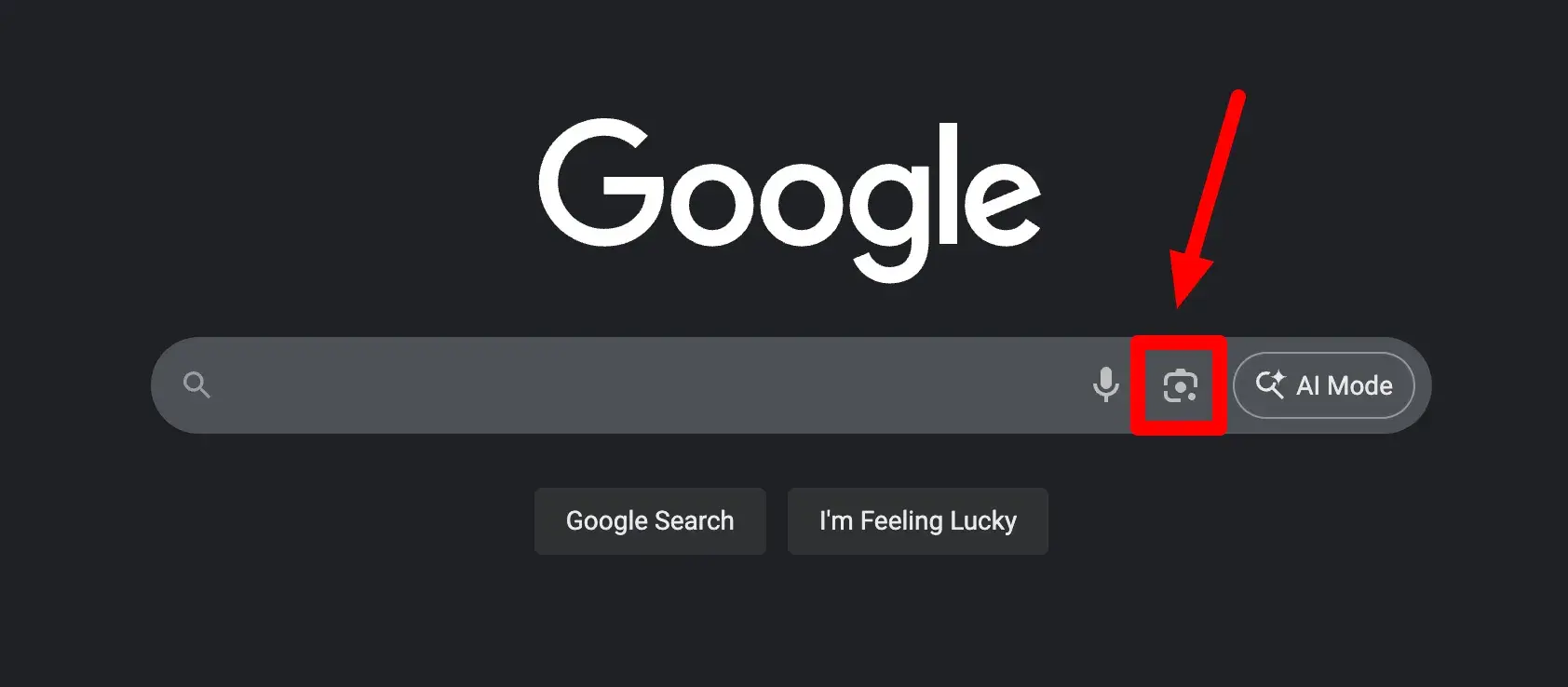 screenshot of the google homepage pointing out the “visual search” icon.